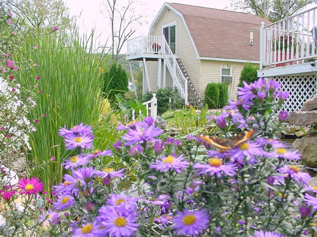 Вилла Trickling Waters Retreat Marquette Экстерьер фото