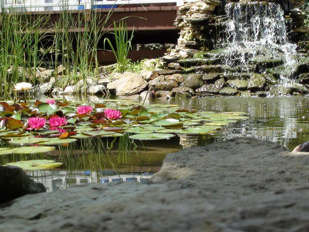 Вилла Trickling Waters Retreat Marquette Экстерьер фото
