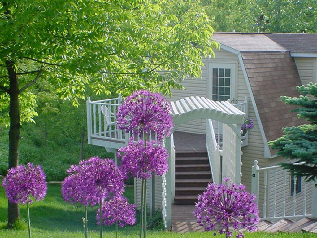 Вилла Trickling Waters Retreat Marquette Экстерьер фото
